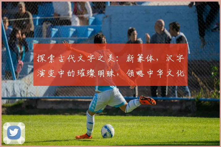 探索古代文字之美：新篆体，汉字演变中的璀璨明珠，领略中华文化的深厚底蕴