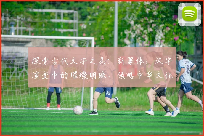 探索古代文字之美：新篆体，汉字演变中的璀璨明珠，领略中华文化的深厚底蕴